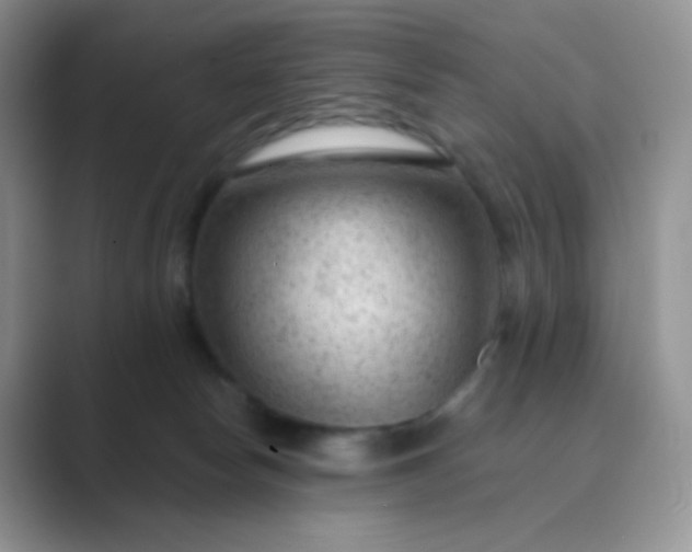 X0000089700178200707051650