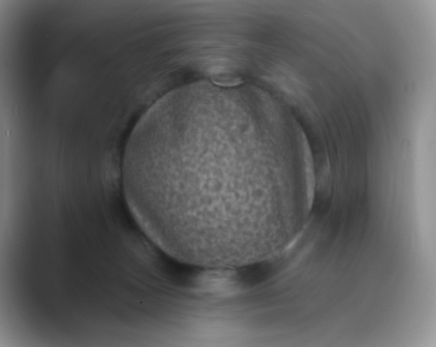 X0000089700179200707051650