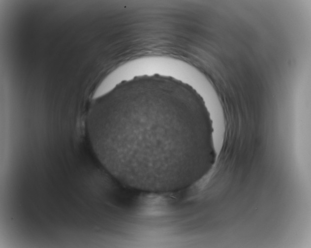 X0000089700180200707051650