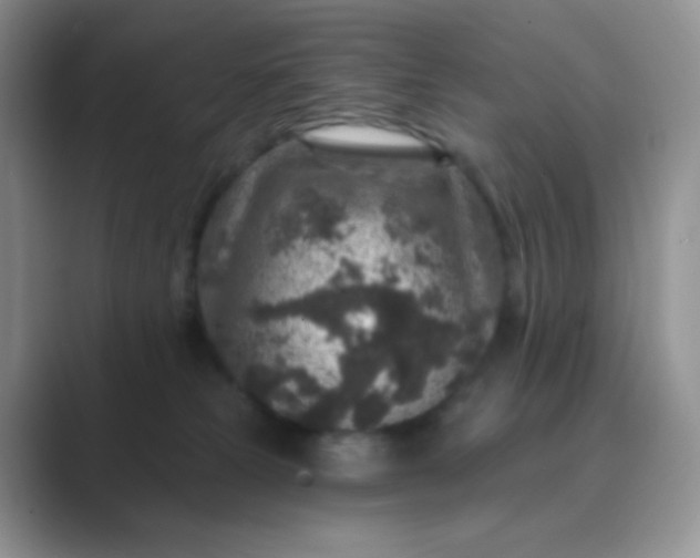 X0000089700181200707051650