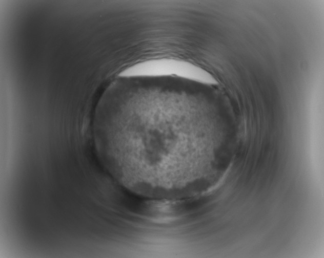 X0000089700182200707051650