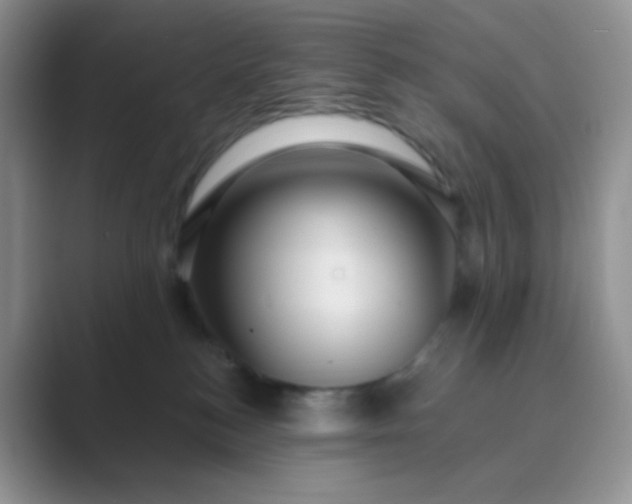 X0000089700184200707051650