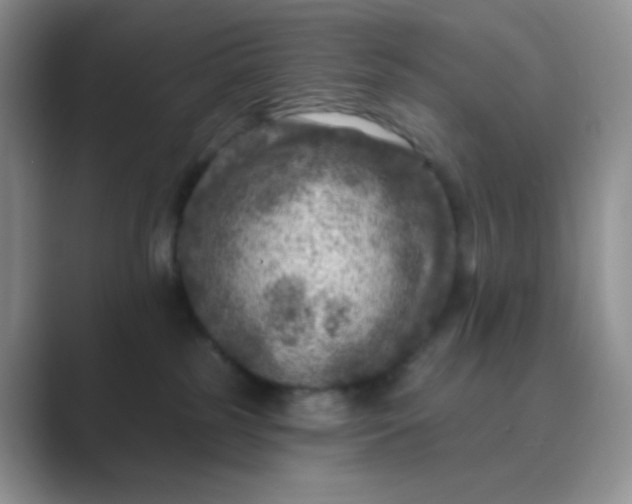 X0000089700185200707051650