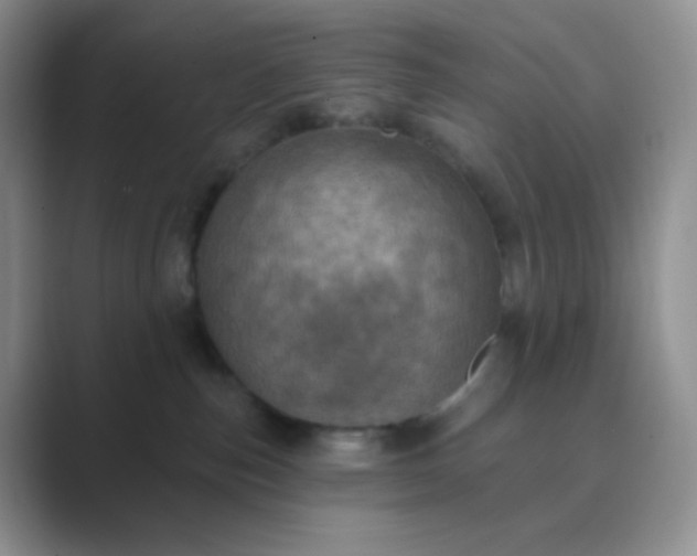 X0000089700187200707051650