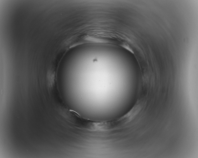 X0000089700188200707051650