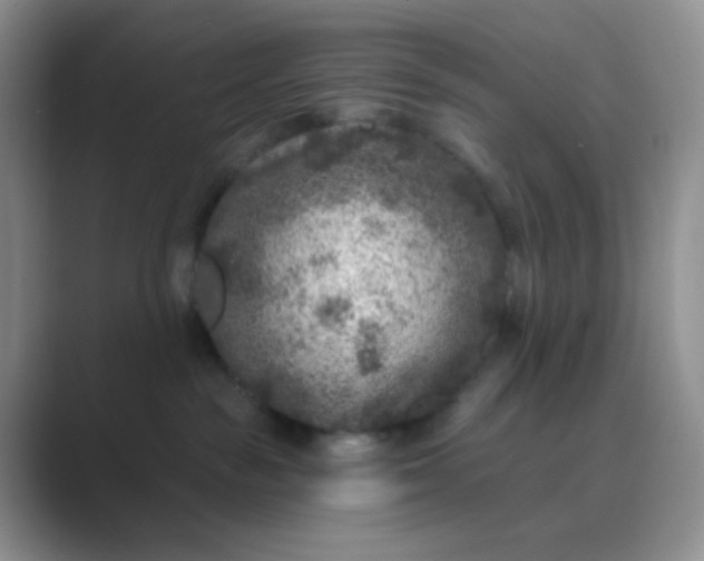 X0000089700189200707051650