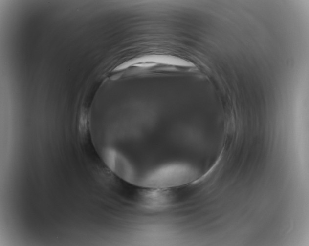 X0000089700191200707051650