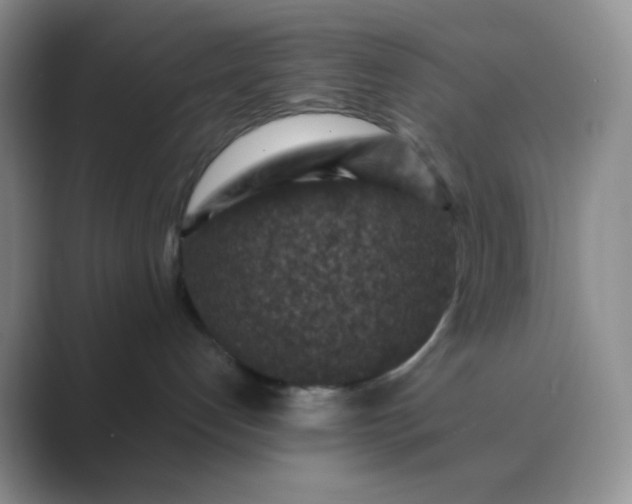 X0000089700192200707051650