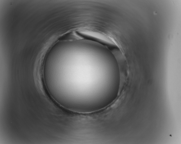 X0000089700193200707051649