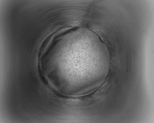 X0000089700194200707051649