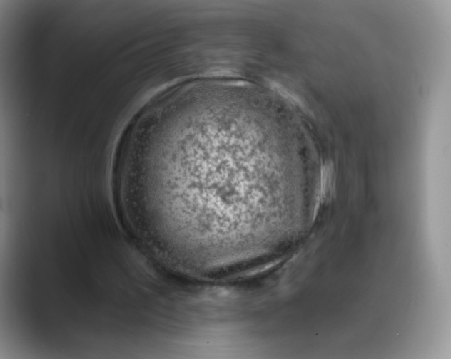 X0000089700195200707051649