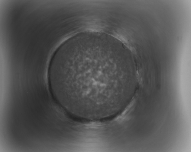 X0000089700196200707051649