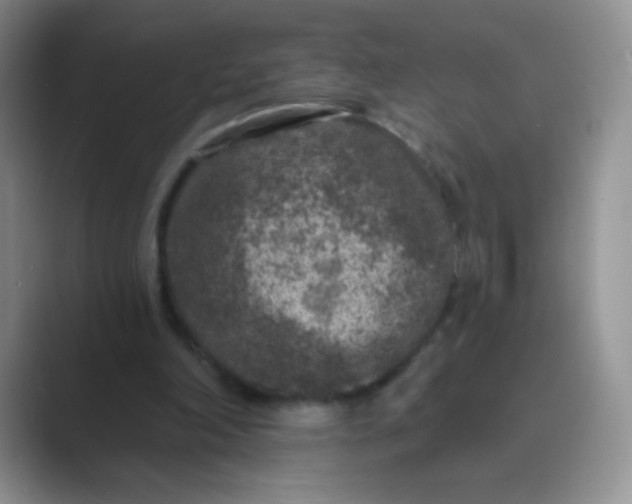 X0000089700198200707051649