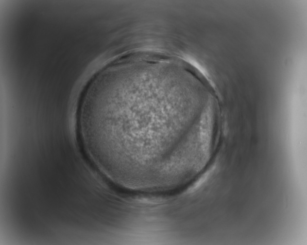 X0000089700199200707051649