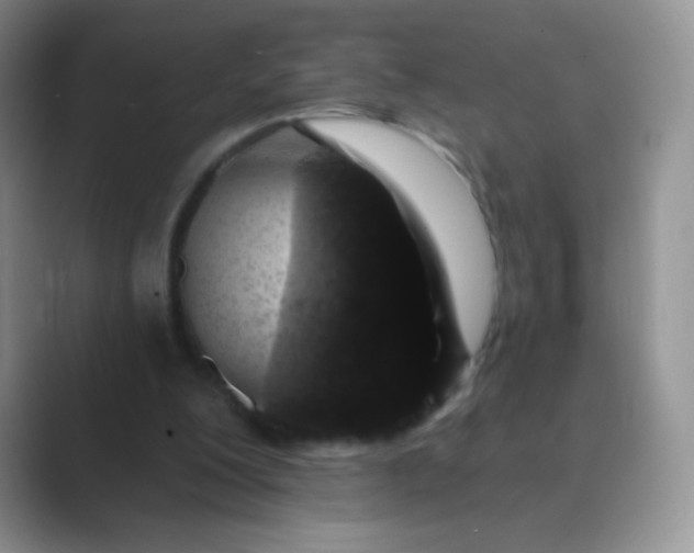 X0000089700200200707051649