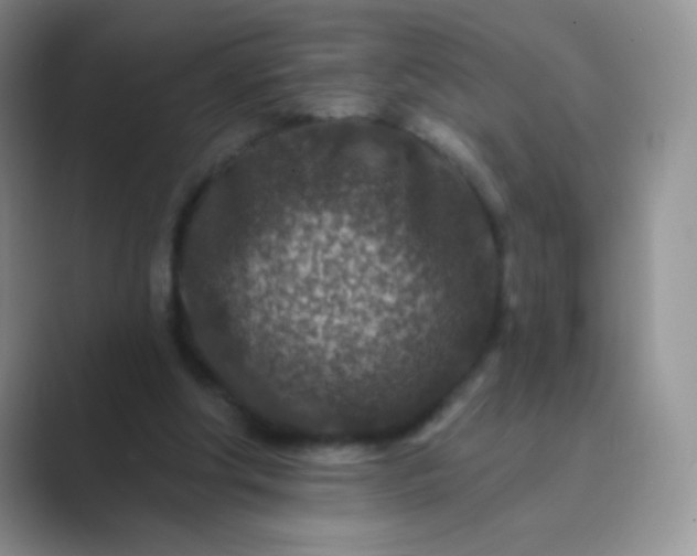 X0000089700202200707051649