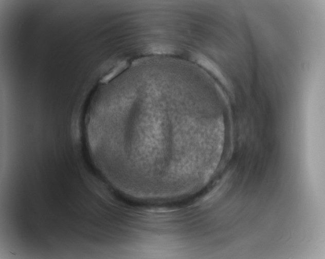 X0000089700203200707051649