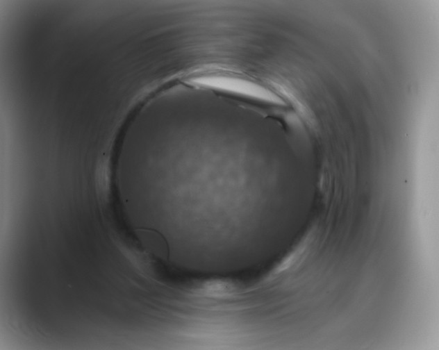 X0000089700204200707051649