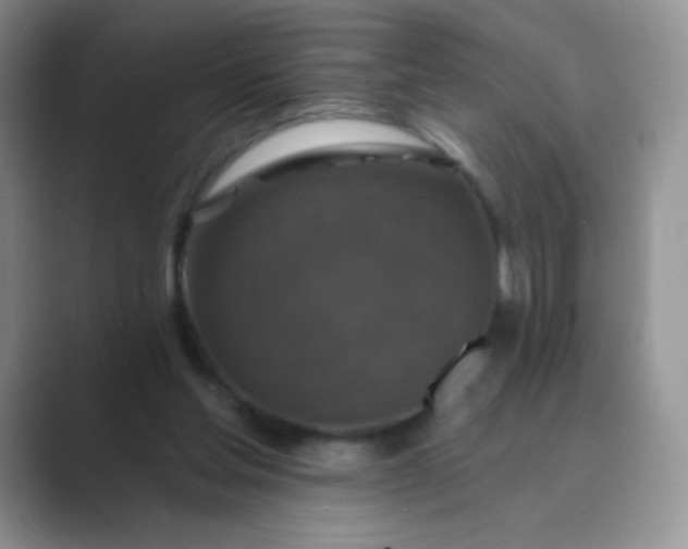 X0000089700205200707051649