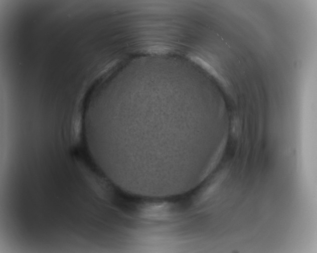 X0000089700206200707051649