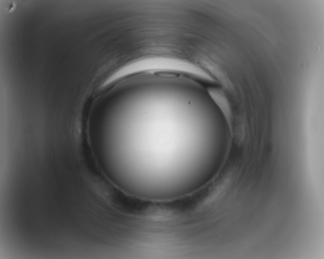 X0000089700207200707051649