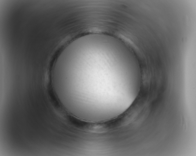 X0000089700208200707051649