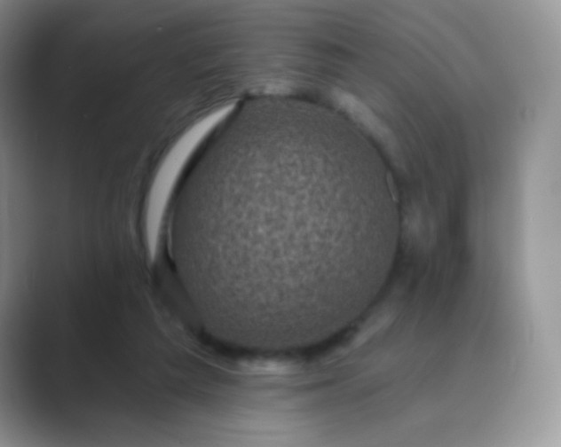 X0000089700209200707051649