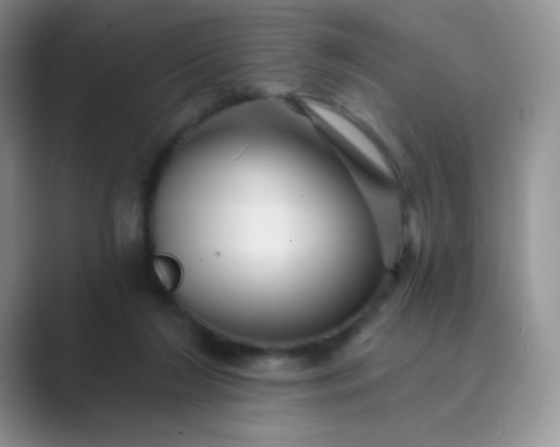 X0000089700212200707051649