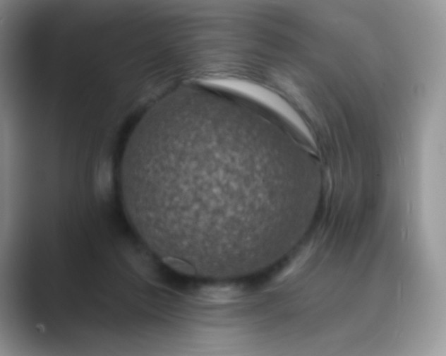 X0000089700213200707051649