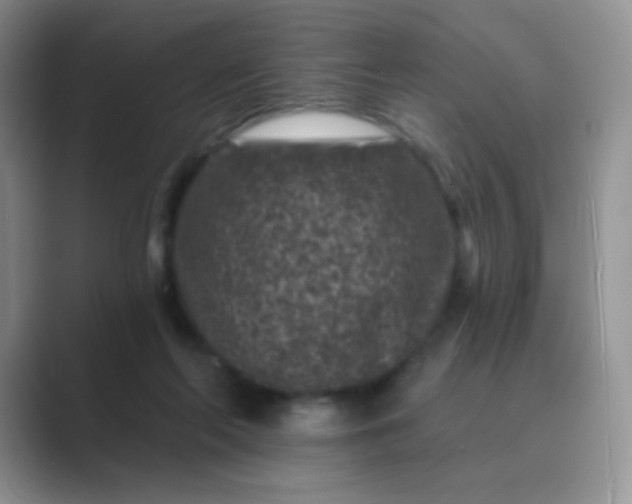 X0000089700214200707051649