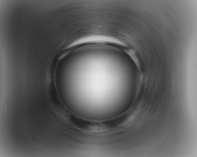 X0000089700215200707051649