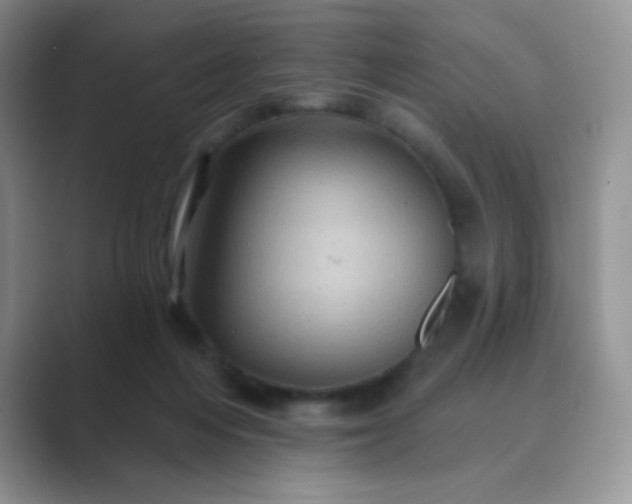 X0000089700216200707051649