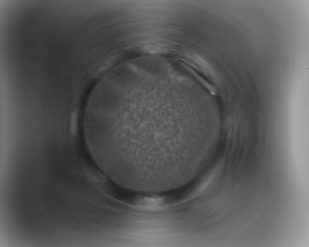 X0000089700217200707051649