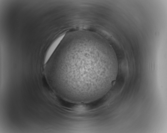 X0000089700218200707051649