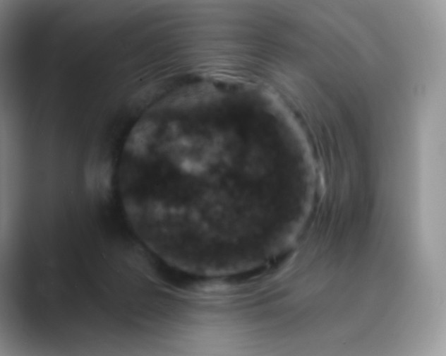 X0000089700219200707051649