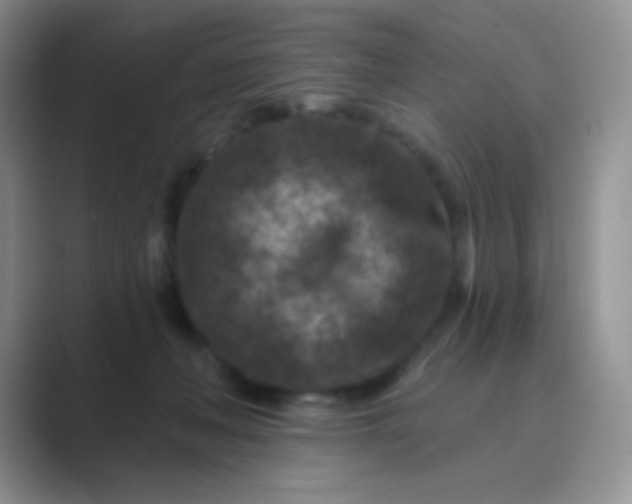 X0000089700222200707051649