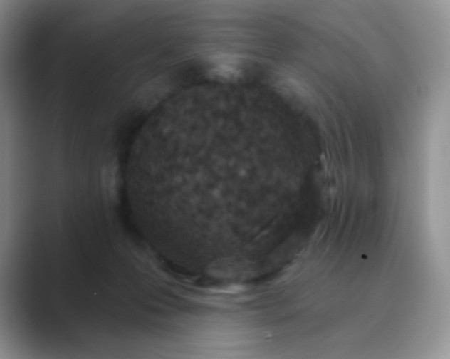 X0000089700223200707051649