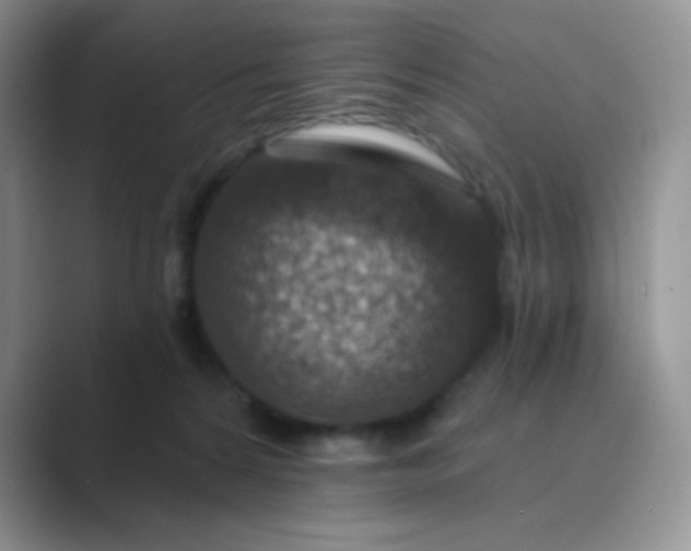 X0000089700224200707051649