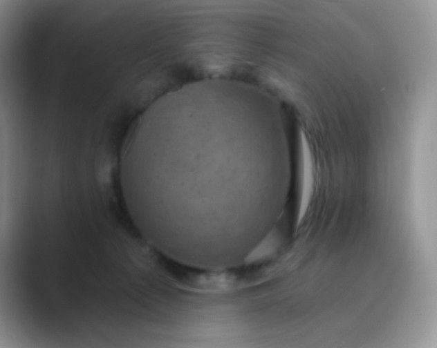 X0000089700225200707051649