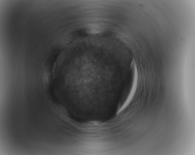 X0000089700227200707051649