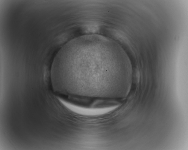 X0000089700228200707051649