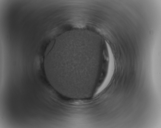 X0000089700229200707051649