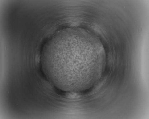 X0000089700230200707051649