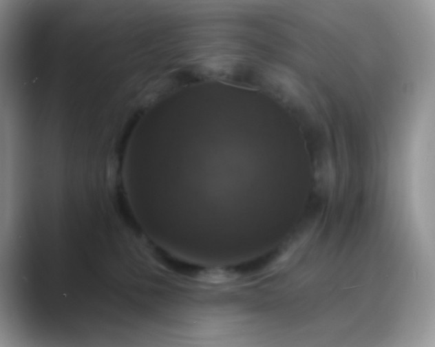 X0000089700231200707051649