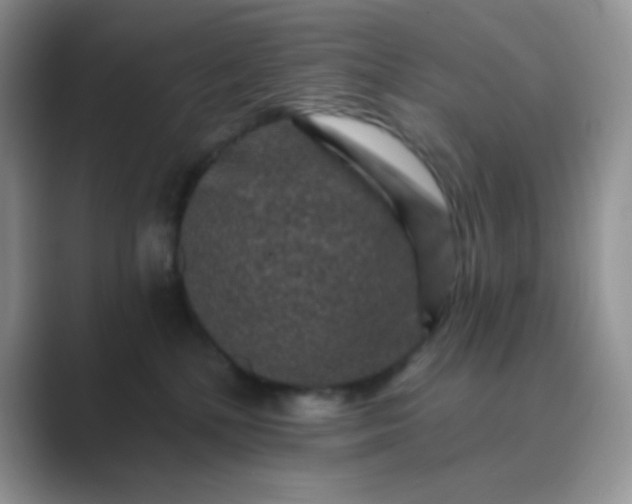 X0000089700232200707051649