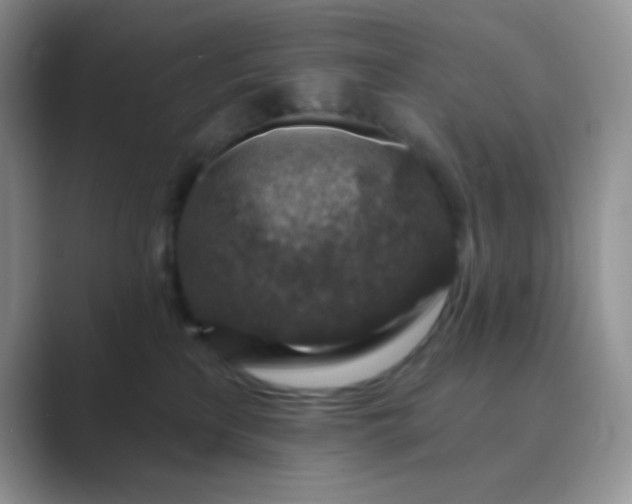 X0000089700233200707051649