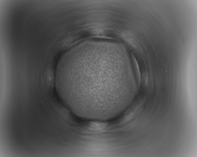 X0000089700234200707051649