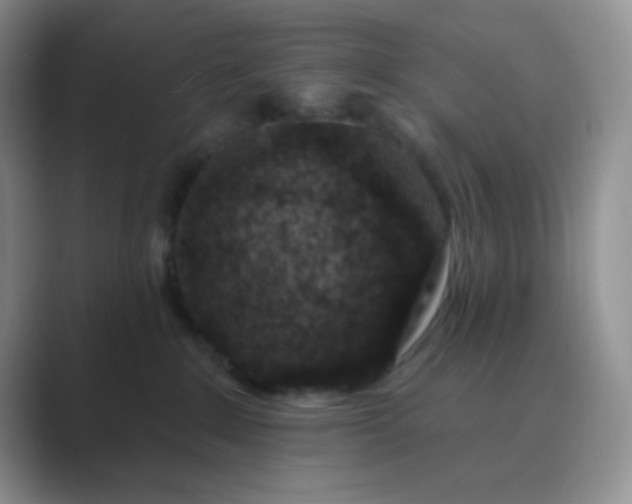 X0000089700235200707051649