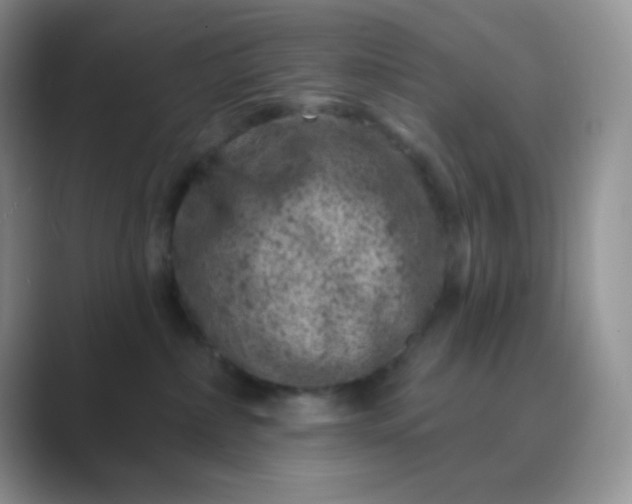 X0000089700236200707051649