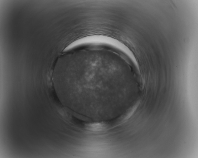 X0000089700237200707051649